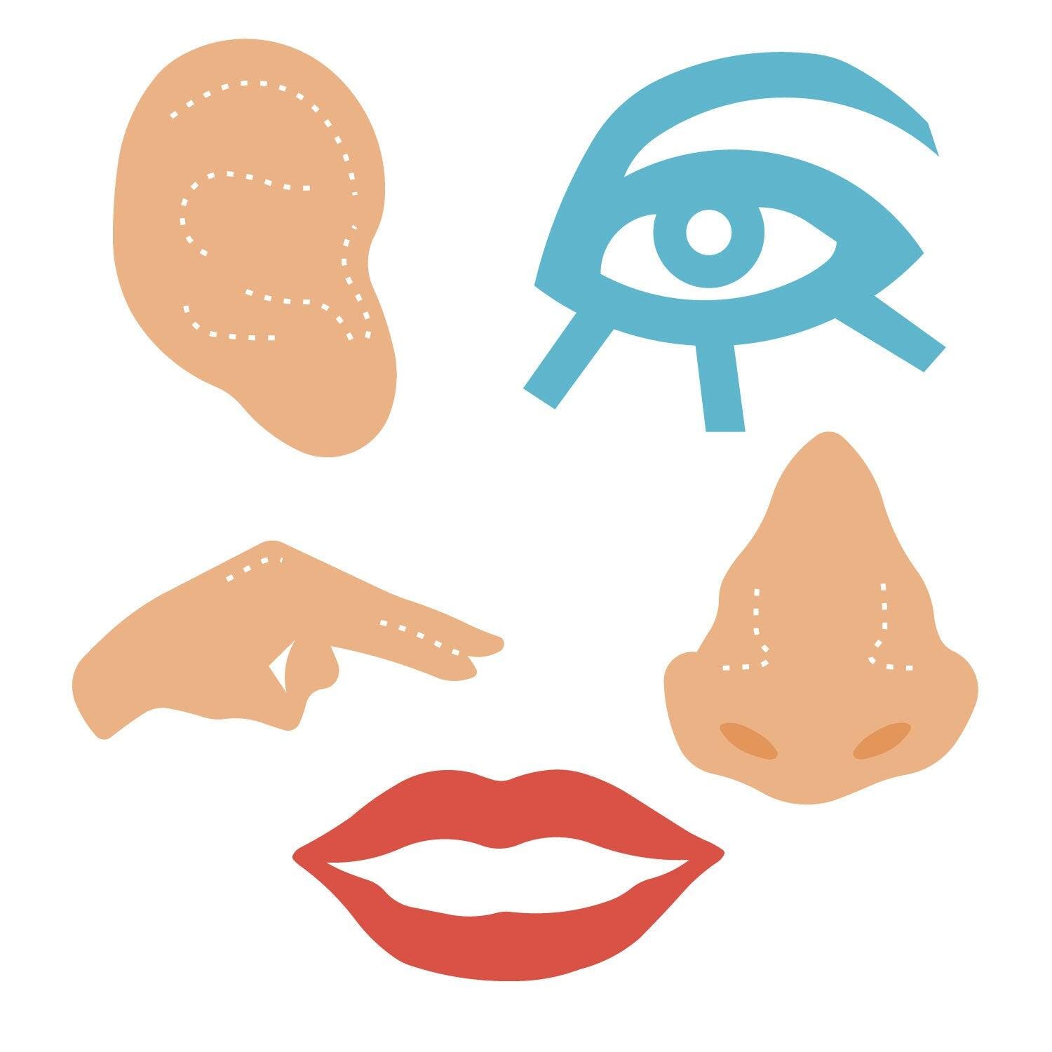 AccuCut Five Senses Dies, Large, Set of 5 2216283