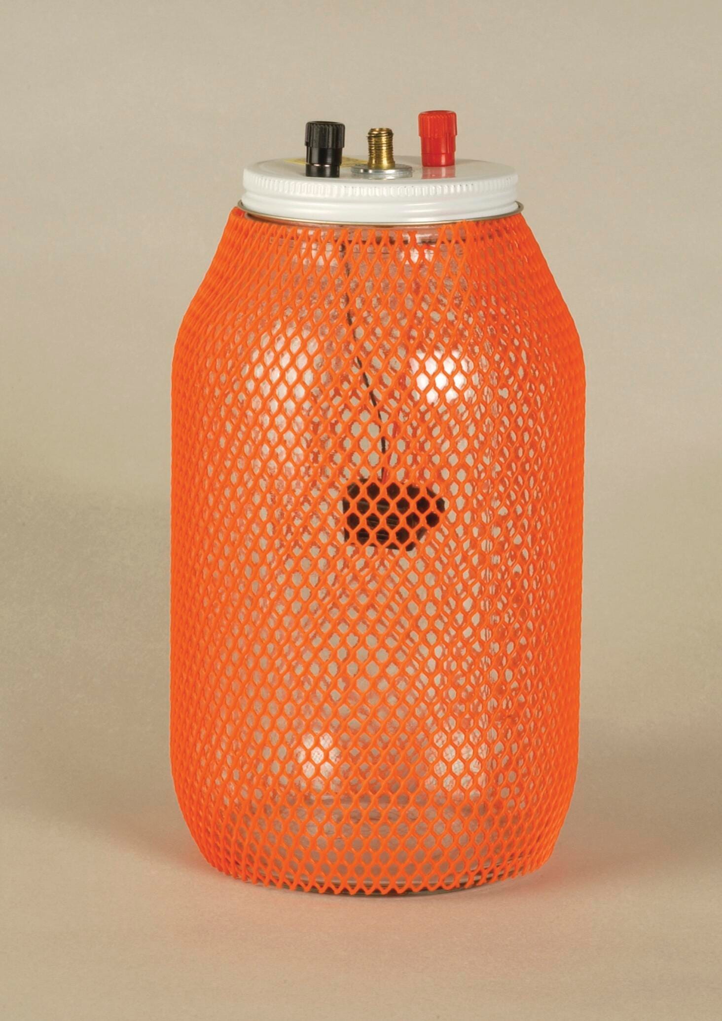 Frey Scientific Buzzer in a Vacuum - 8 x 9.5 inches, Item Number 570533