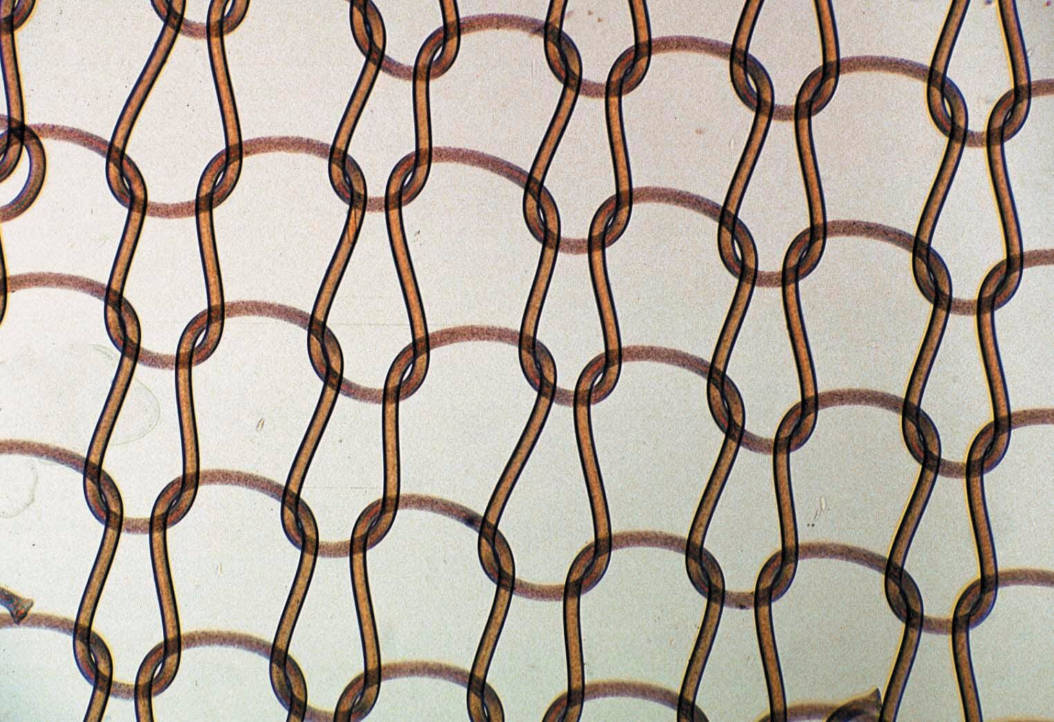 Science Survey Sets, Item Number 581437