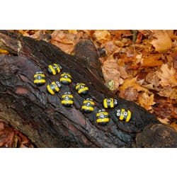 ANGLEIMAGES_FULLIMAGE