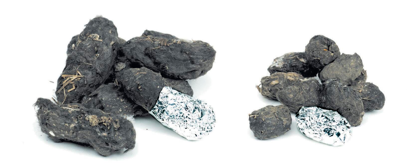 Pellets Inc Barn Owl Pellets, Large 1.5 to 3 Inches, Pack of 15 373995