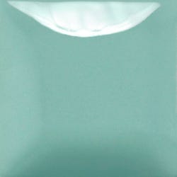 Mayco Stroke & Coat Wonderglaze, Spruce It Up SC-101, Pint Item Number 2135295
