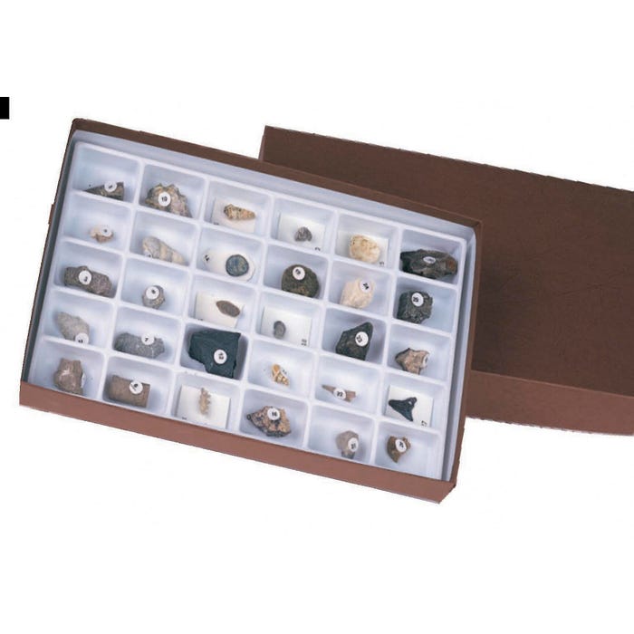 Scott Resources Advanced Fossil Collection, Set of 30