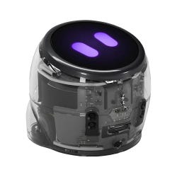 ANGLEIMAGES_FULLIMAGE