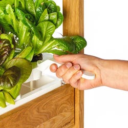 ANGLEIMAGES_FULLIMAGE