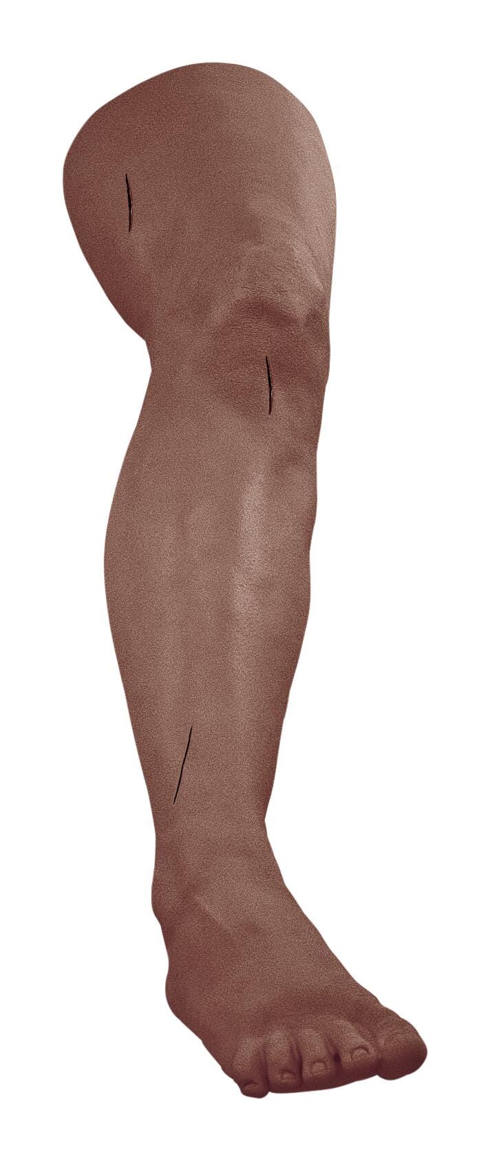 Life/form Suture and Stapling Practice Leg, Dark