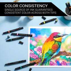 ANGLEIMAGES_FULLIMAGE