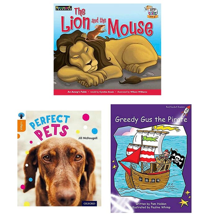Achieve It! Guided Reading Class Pack Book Collection, Reading Level J, Grade 1, Set of 16 Titles