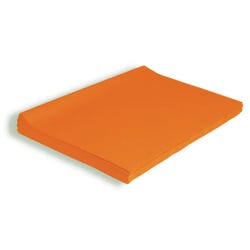 Tissue Paper, Item Number 006222