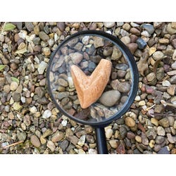 ANGLEIMAGES_FULLIMAGE