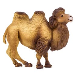 ANGLEIMAGES_FULLIMAGE