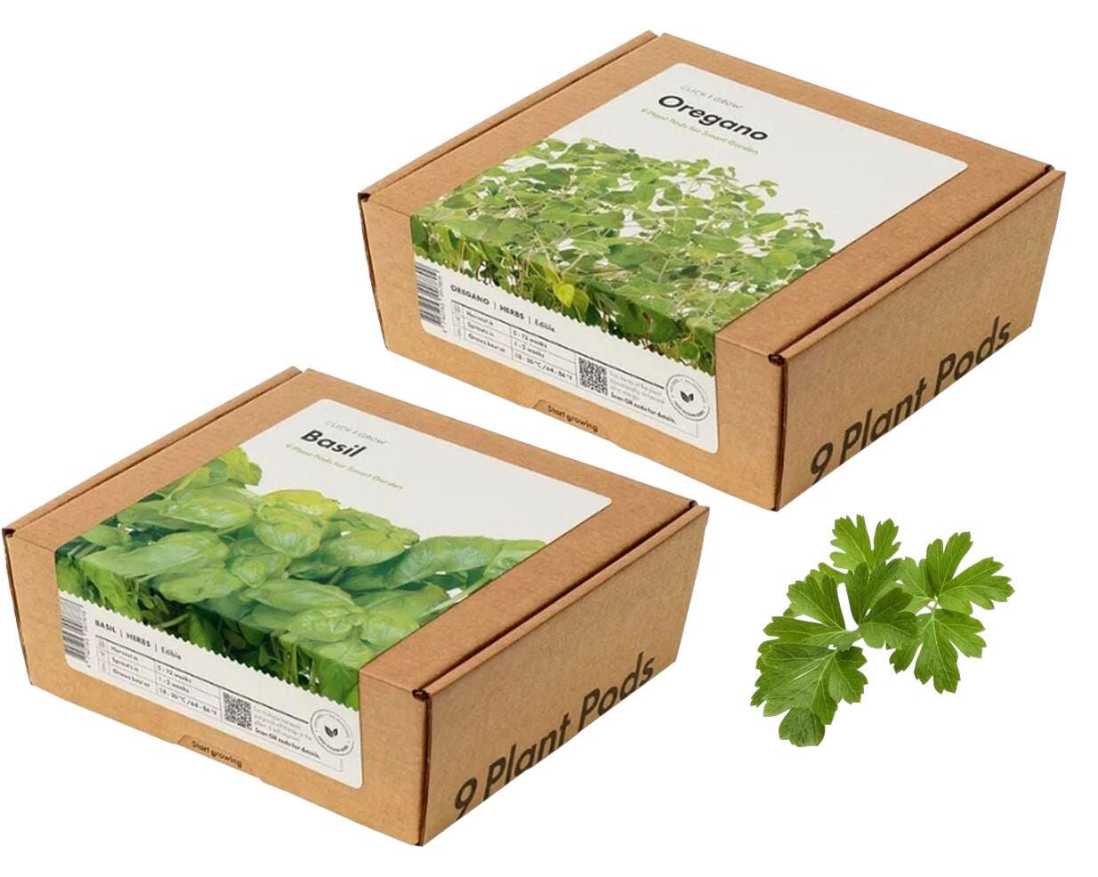 Click and Grow Entrepreneurship with Aromatic Herbs Bundle 2219193