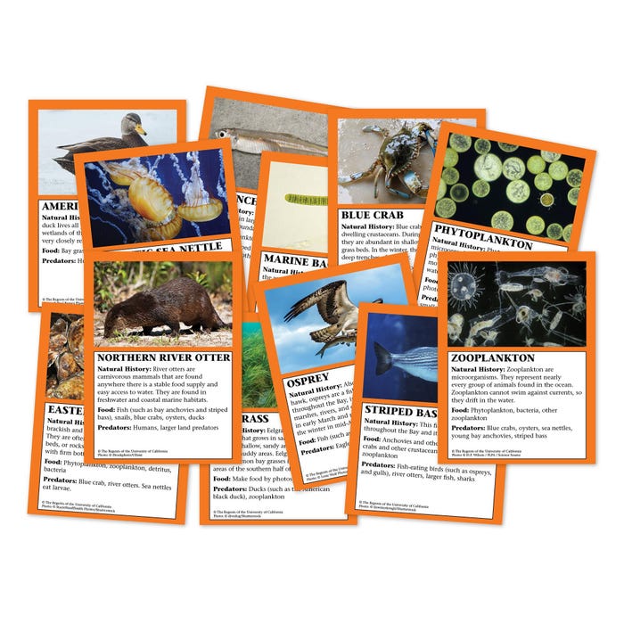 FOSS Chesapeake Bay Cards, 8 Sets, 12 Cards per Set