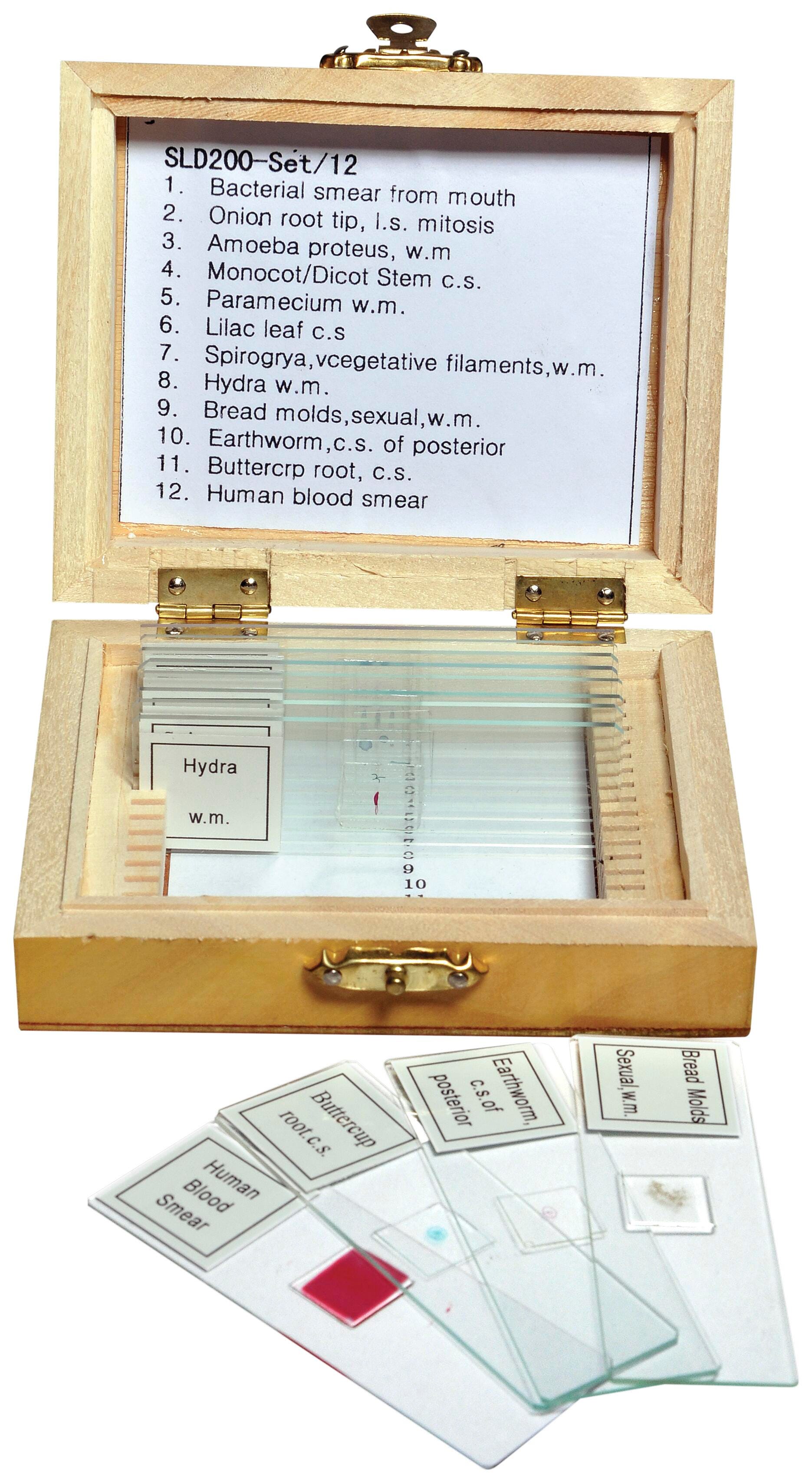 Microscope Slides - Accessories