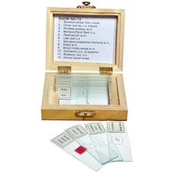Science Survey Sets, Item Number 1501742
