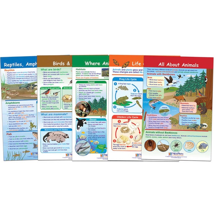 NewPath Learning Bulletin Board Set of 5 - All About Animals, Grades 1 to 2
