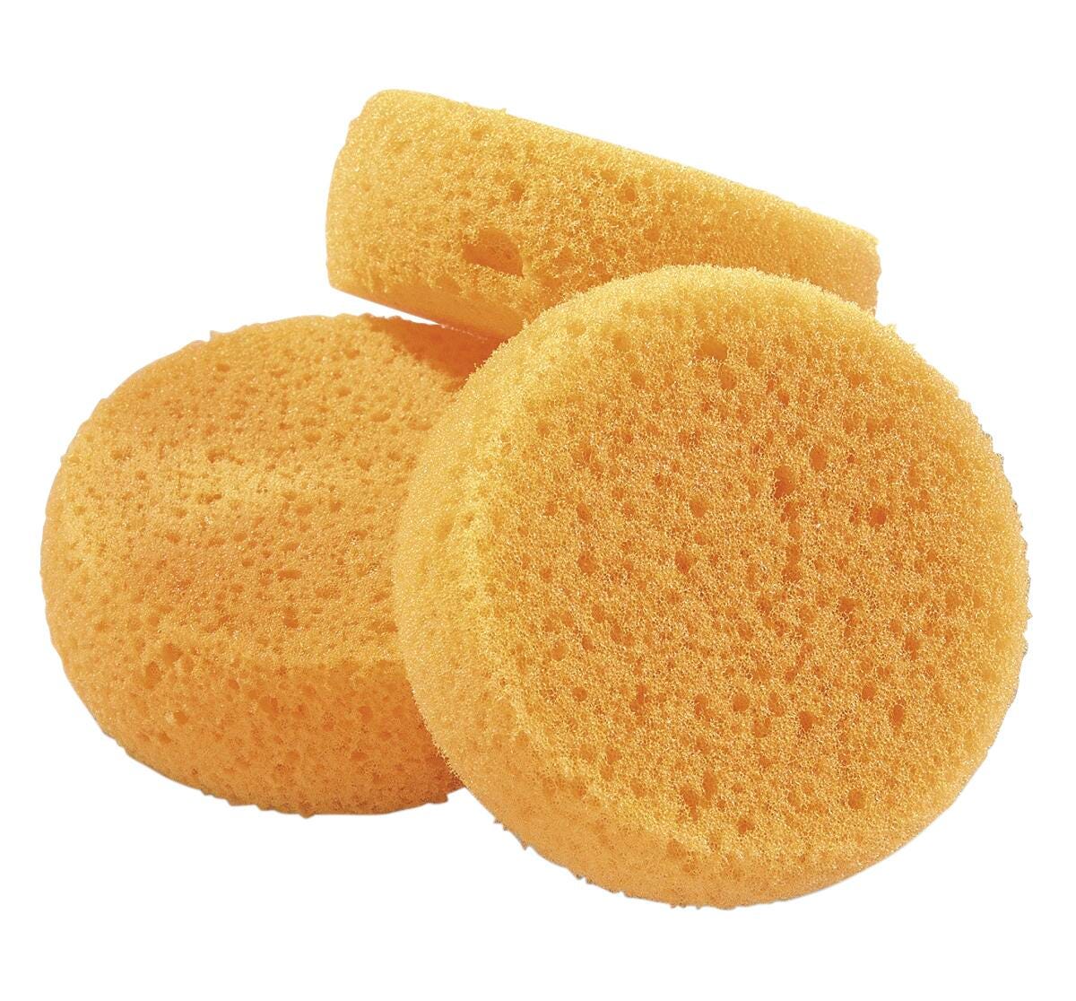 Image for Royal Brush® Sponges - Bag of 12 from School Specialty