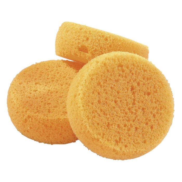 Royal Brush Sponges, 2-3/4 Inch Dia., Pack of 12