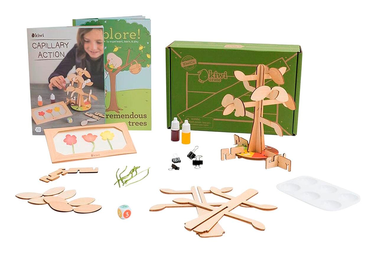 KiwiCo Capillary Action Kit 2214107