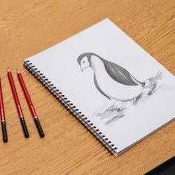 ANGLEIMAGES_FULLIMAGE