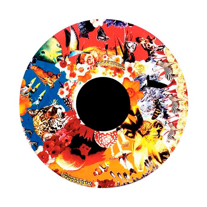 Optikinetics 6-Inch Effect Wheel, Safari