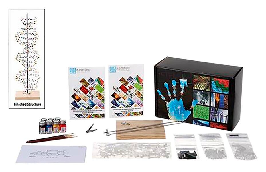 Image for Kemtec DNA Model with Paint from School Specialty