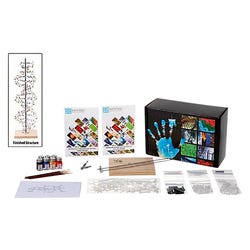 Kemtec DNA Model with Paint 2039657