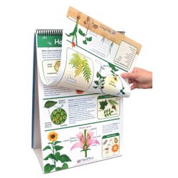 Teacher Resources, Item Number 1302649