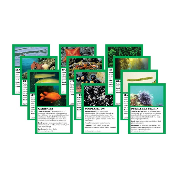 Delta Education Food Web Cards, Monterey Bay, 8 Sets of 12 Cards