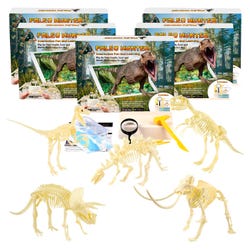 Fossils, Geologic Time, Item Number 2040490
