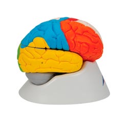 ANGLEIMAGES_FULLIMAGE