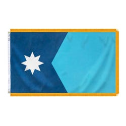 Annin Minnesota State Flag, Indoor, Nylon with Gold Fringe, Includes Post Sleeve, 3 x 5 Feet 2156055
