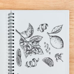 ANGLEIMAGES_FULLIMAGE