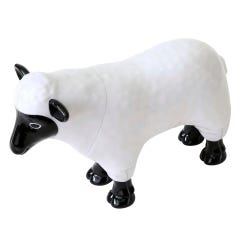 ANGLEIMAGES_FULLIMAGE