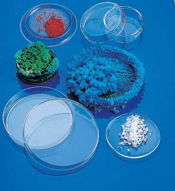 Petri Dishes, Item Number 160-4613