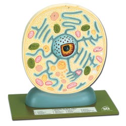 Cell Biology, Item Number 30-1420