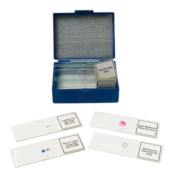 United Scientific Biology Prepared Slide Set of 14, Item Number 2089988