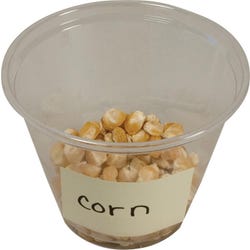 Delta Education Corn Seeds, 1 1/8 Ounce