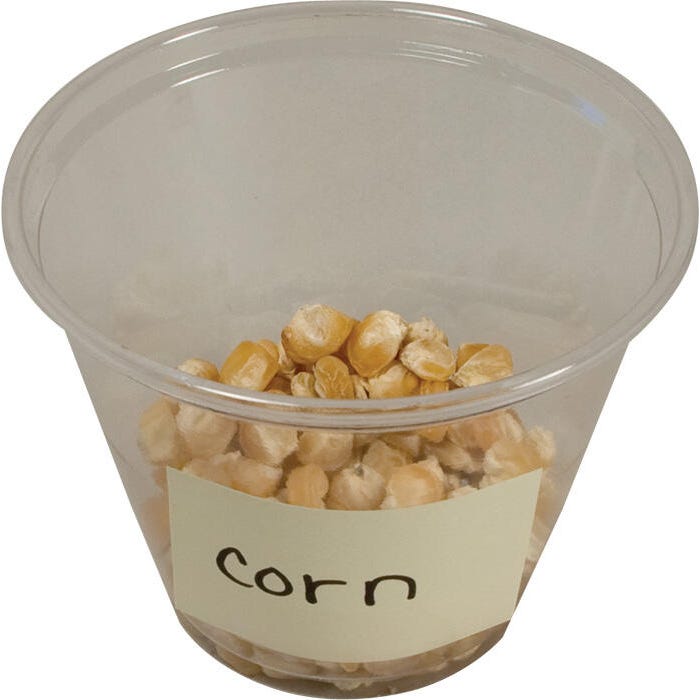 Delta Education Corn Seeds, 1 1/8 Ounce