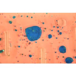 ANGLEIMAGES_FULLIMAGE