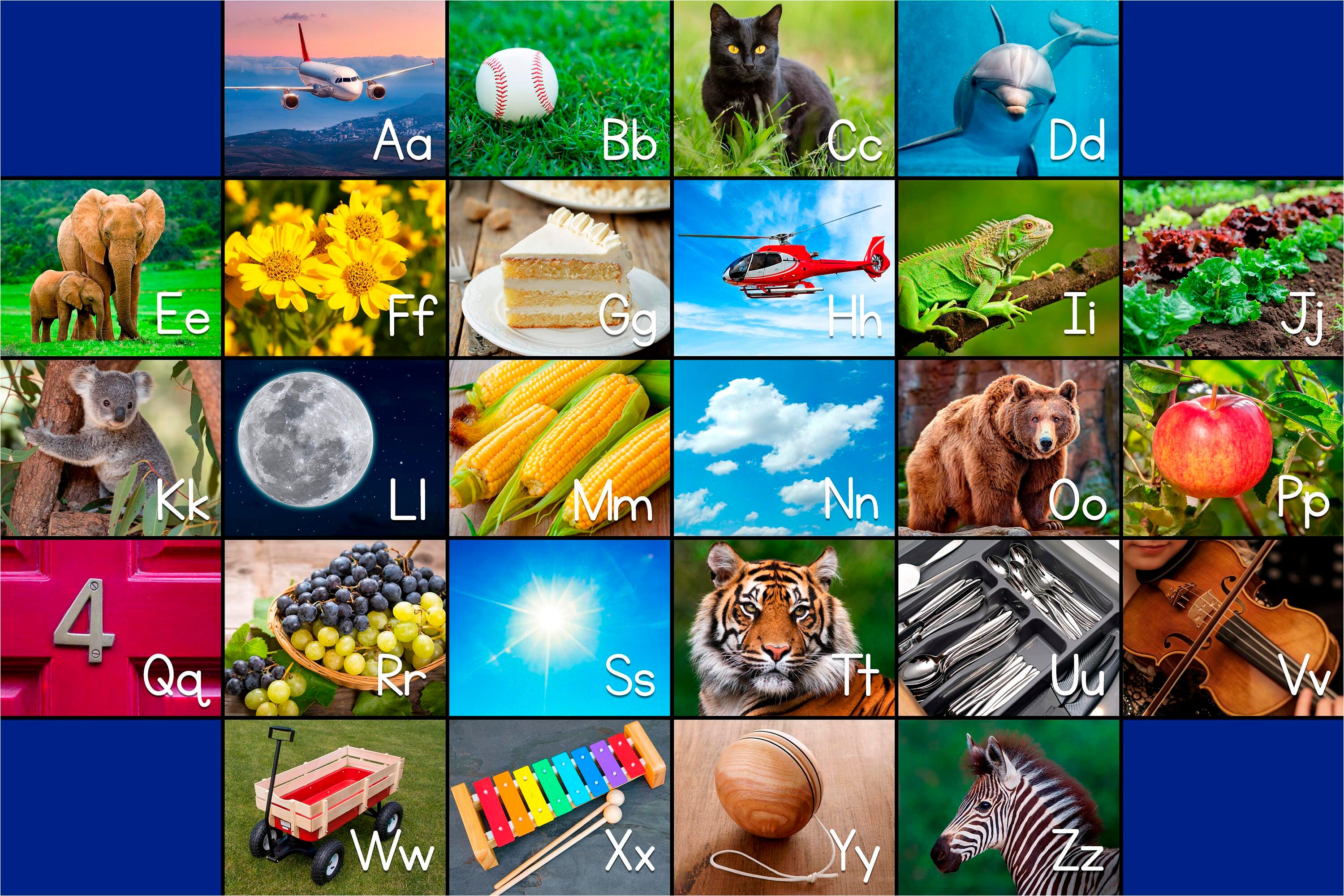 Childcraft Photo Fun French Alphabet Carpet, Rectangle 4002691