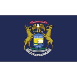 Annin Nylon Michigan Heavy Weight Outdoor State Flag, 4 X 6 ft, Item Number 017307