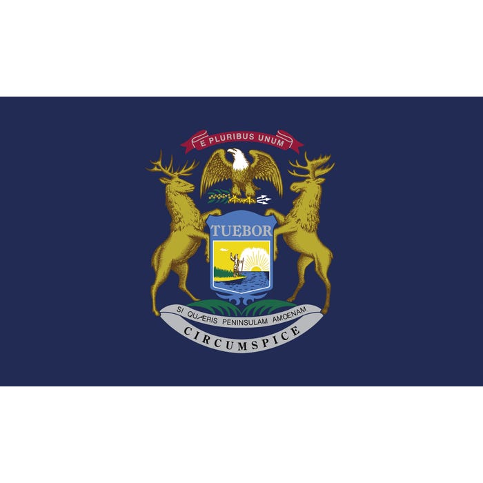 Annin Michigan State Flag, Heavy Weight Nylon, Outdoor, 4 x 6 Feet