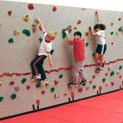 Upper Body Climbing Equipment, Item Number 2041366