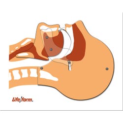 Life/form Airway Simulation Board