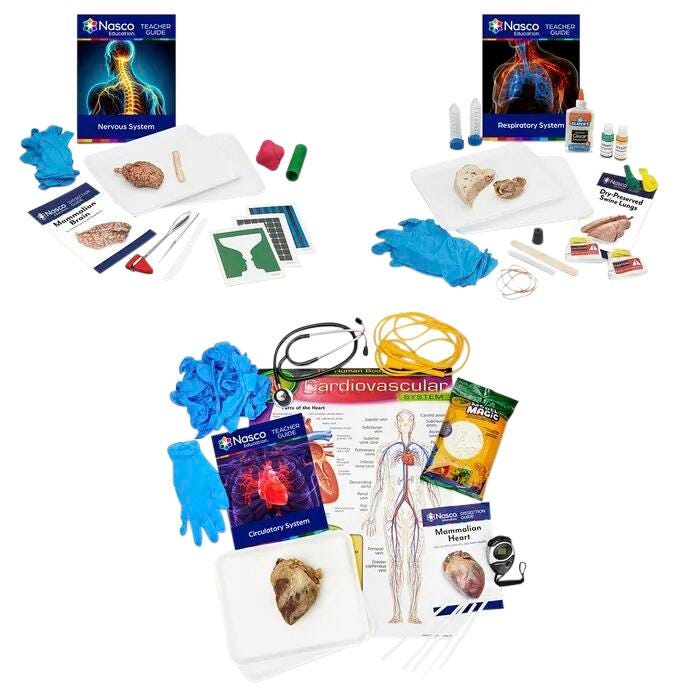 Image for Human Body System Kits - Complete Set of 3 from School Specialty