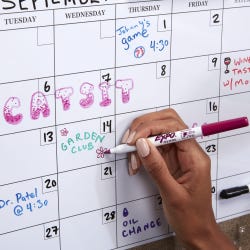 ANGLEIMAGES_FULLIMAGE