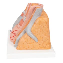 ANGLEIMAGES_FULLIMAGE