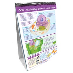 Teacher Resources, Item Number 1302652