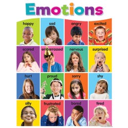 Teacher Created Resource Colorful Emotions Chart, Item Number 2098948